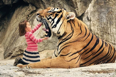 Funny Wallpapers For Girls   Wallpapers Zone