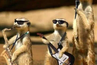 Picture Bollywood Cute Nature Girl Phone Funny Wallpapers ...