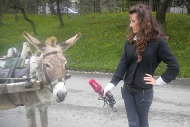 Happy Birthday Mudfoot   Inshore Fishing.com Fishing Forum ...