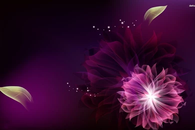 Purple Flower Wallpapers