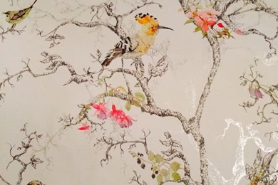 1000+ Ideas About Bird Wallpapers On Pinterest