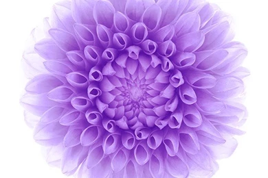 Make Your Android Lollipop Interface Look Like IOS 8 & IOS 9 Beta ...