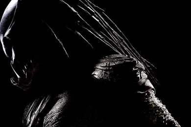 Predator Wallpapers