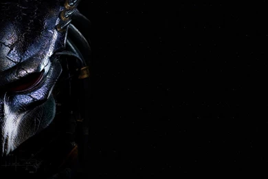 Esther Castillo: Predators Wallpapers