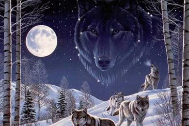 Free Wolves Wallpapers 19859 HD Wallpapers