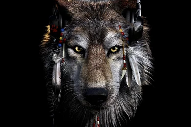 Wallpapers Wolf