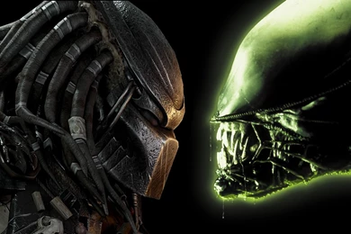 Image   1920 X 1080p Alien Vs Predator Wallpapers By Xcompactvenom ...