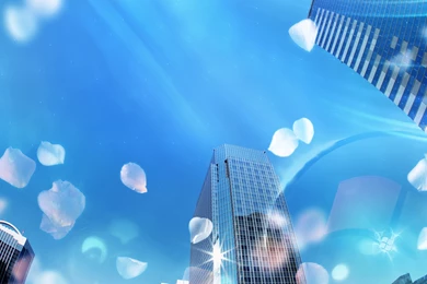 Business Wallpapers Collection (31+)