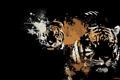 Animals Predators Tigers Color Art Black Backgrounds HD Wallpapers