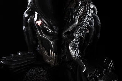 Predators By Biomonkz On DeviantArt