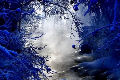 Winter Scenes Backgrounds For IPhone4