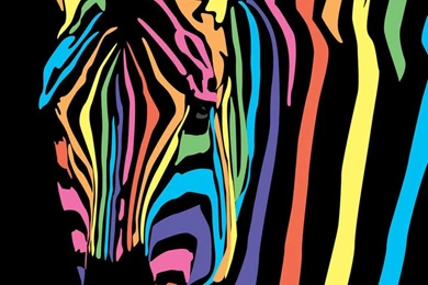 Rainbow Zebra Print   ClipArt Best