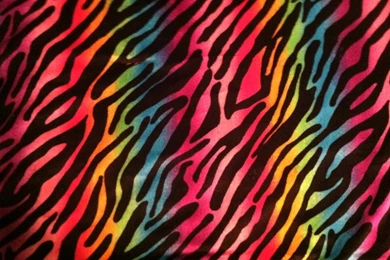 Rainbow Zebra Print By Greenmonkey15 On DeviantArt