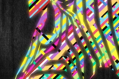 Rainbow Zebra Stripes By Thetyrant On DeviantArt