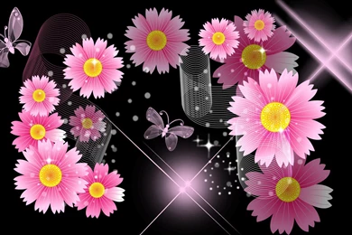 Black And Pink Flower Wallpapers » WallDevil   Best Free HD Desktop ...