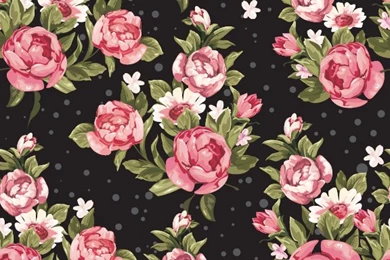 Rose Wallpapers For WallsUgg Stovler