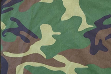 Camouflage: July 2010