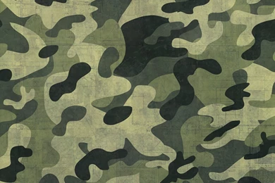 DeviantArt: More Like QDP, Digital Woodland V1.0 By ...