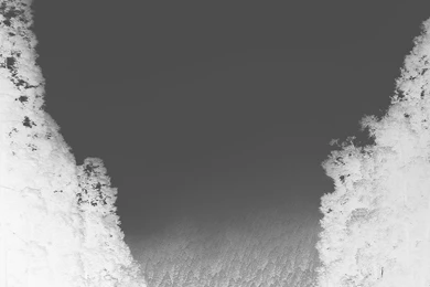 Mountain Mirror Green Wood Nature White iPhone 6 Wallpapers ...