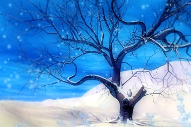 Winter Snow Animated Wallpapers 1.0 Photos Of Extra Ordinary ...