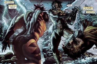 Marvel Comics,Wolverine Wolverine Marvel Comics Sabertooth ...