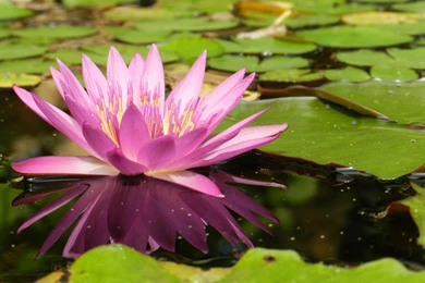 Namaste Wallpapers Related Keywords & Suggestions   Namaste ...