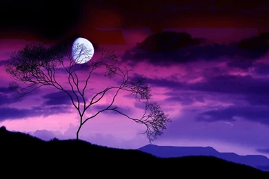 Beautiful Night Landscape Wallpapers Hd Wall Backgrounds