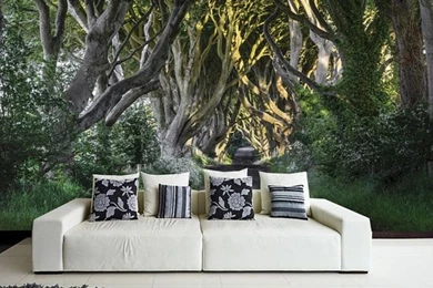 Photo WALL MURAL, Wall Decal, Self Adhesive Vinyl Wallpapers ...