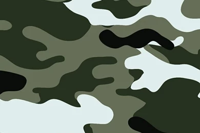 Camouflage Wallpapers 16   Best Wallpapers Collection
