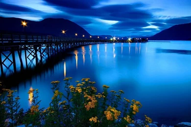 Nexus 5 Wallpapers: Seychelles Sunset Colors Palm Clouds Sky Beach ...