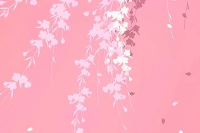 Images For Backgrounds Wallpapers   Wallpapers HD Fine