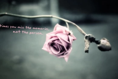 Best Wallpapers With Quotes   HD Wallpapers Pretty