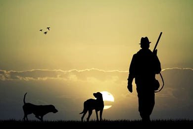 Animals, Dog, Bird, Sun, Men, Hunting, Gun, Rifles   HD Wallpapers