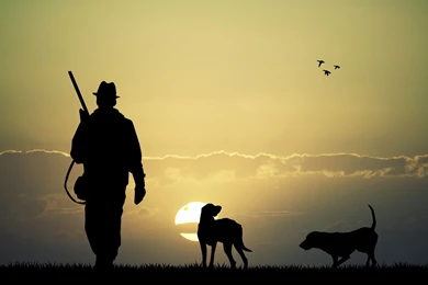 Animals, Dog, Birds, Sun, Men, Hunting, Gun, Rifles Wallpapers HD ...