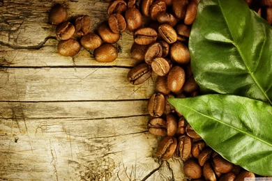 Cafe Wallpapers   Wallpapers Cave