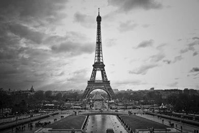 Black And White Photography   Android Apps On Google Play