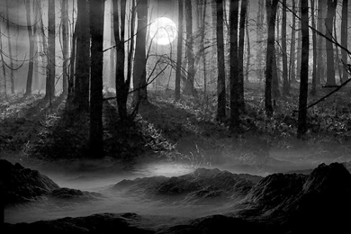 Pins For: Creepy Forest Wallpapers From Pinterest