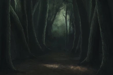 Backgrounds For Animation