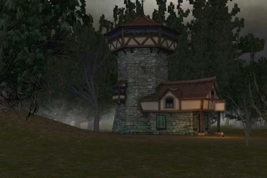 Dark Creepy Forest Halloween Video Backgrounds Set B   YouTube