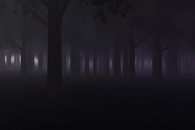 Creepy Forest By Mad Fool On DeviantArt