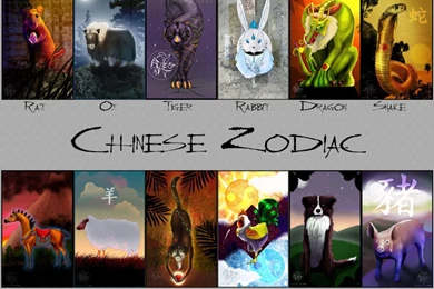 Chinese Zodiac   Chinese Zodiac Wallpapers (13974904)   Fanpop
