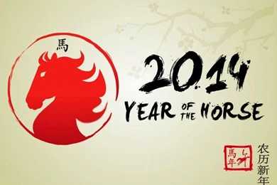 Chinese New Year 2014 Horse: What Does Your Zodiac Animal Mean ...