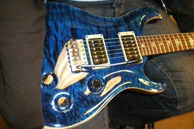 PRS Guitars Custom 24 II By Mouse eater On DeviantArt