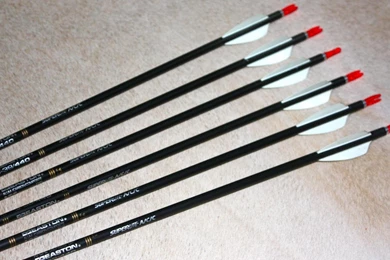 Archery Hoyt Wallpapers