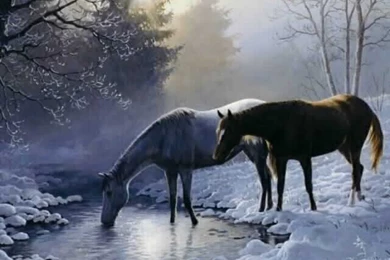 Horse Wallpapers Hd Pictures Free Download Hd Walls. Download ...