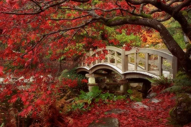Japanese Garden Computer Wallpapers, Desktop Backgrounds ...