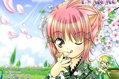 Shugo Chara Wallpapers Amu   Wallpapers Cave