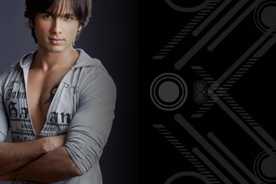 Shahid Kapoor Hot Hd Images   Free Hd Wallpapers