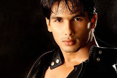 Shahid Kapoor Hd Wallpapers   Free Hd Wallpapers