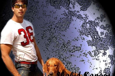 Shahid Kapoor Romentic Hd Pics   Free Hd Wallpapers